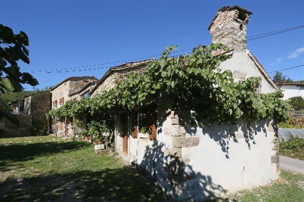 Istrian Experience Villa Socerga Екстериор снимка