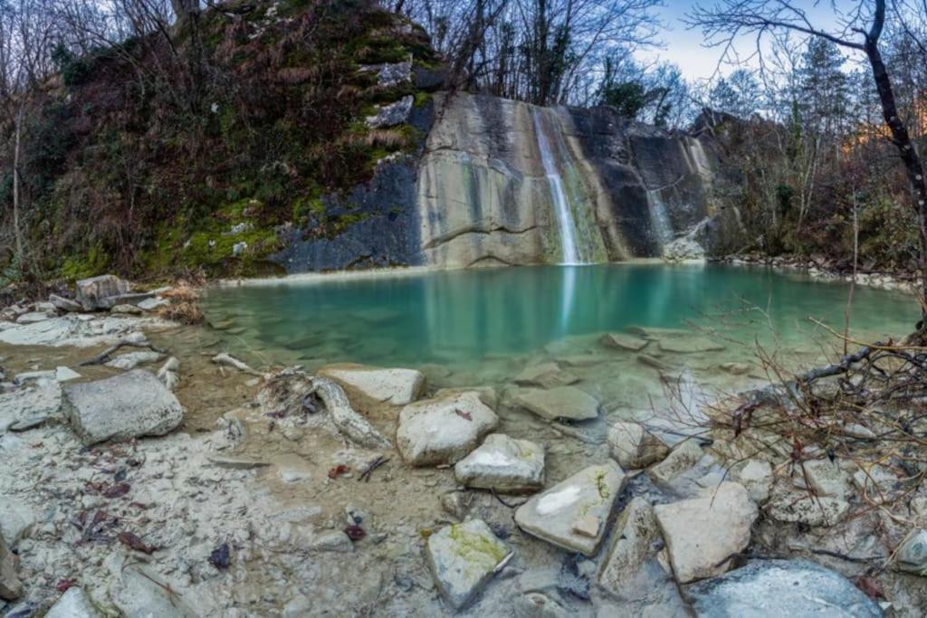Istrian Experience Villa Socerga Екстериор снимка